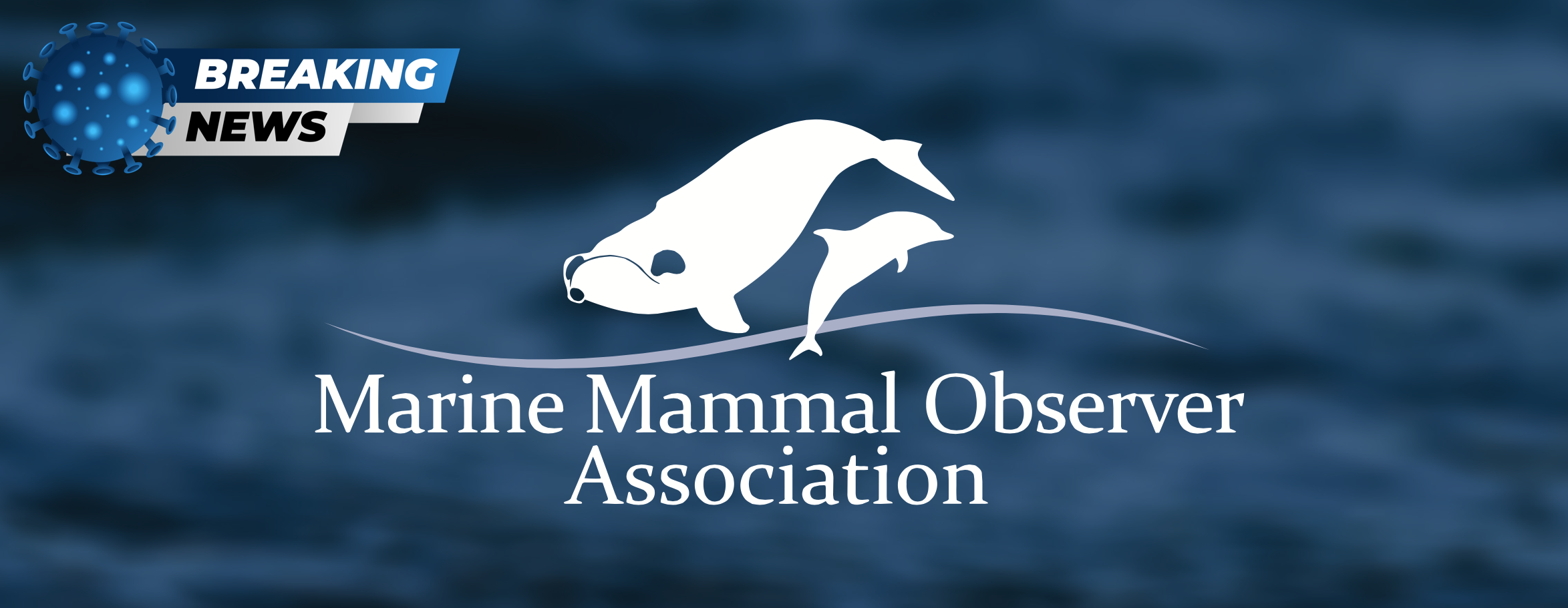 COVID-19 and the Marine Mammal Mitigation Industry