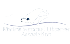 mmoa footer logo